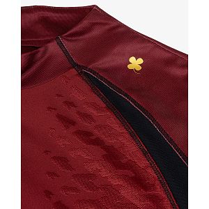 Robey Pro training top