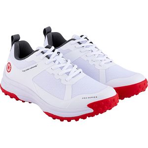 The-Indian-Maharadja-Pro-W-Rood